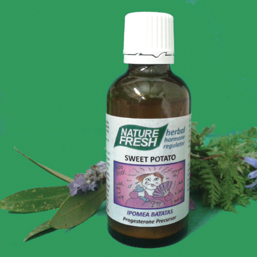 NF 032 SWEET POTATO: 50ml tincture