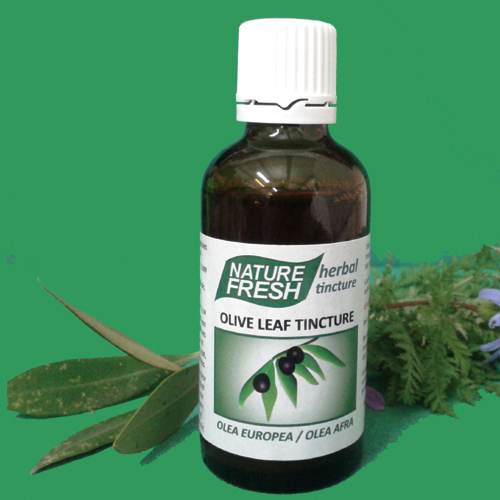 NF 038 OLIVE LEAF TINCTURE: 50ml tincture high potency 40%